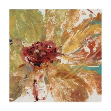 Tim Otoole 'Floral Splash I' Canvas Art,18x18